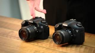 Canon EOS 70D vs Canon EOS 7D Comparison [upl. by Fifine]