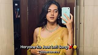 Haryane Ka Jaat  Raju Punjabi  Parmeet Haryanavi  Lofi Song ❌ [upl. by Lina]