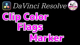 【DaVinci Resolve】Clip Color  Flags  Marker の話【基礎】 [upl. by Bambi]