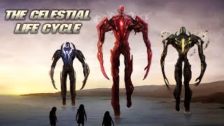 The Celestials Life Cycle amp Origin Explained [upl. by Airekal]