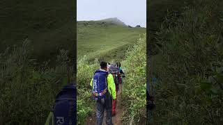 Dzukou vally shortsviral dzukouvalley shortvideos shorts Nagaland [upl. by Azpurua]