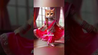 Stylish bride cat 💕💗🥰😺princess catcatcat funny catbeautiful cat trending youtuber ytshorts [upl. by Jonie595]