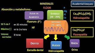 Minerales Flúor [upl. by Alyaj95]