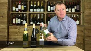 Episode 4  Top Pinot Grigio Tips [upl. by Haidabej943]