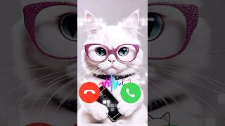 Cute cat calling 🔥 sounds effect 🔥🔥shortcalling ringtone cat [upl. by Elleinod]