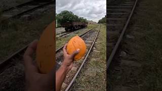 kereta Api vs kelapa 🥥🌴 [upl. by Ajay]