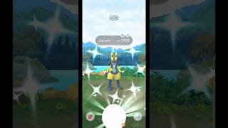 Getting Lucky With✨Shiny Mega Lucario Raid in pokemongo [upl. by Nowujalo838]