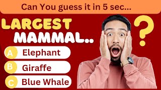 General Knowledge Quiz ChallangeSolve it in 5 seconds [upl. by Aleris]