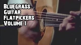 Professional Bluegrass Guitar Flatpickers Compilation 1 [upl. by Treacy875]