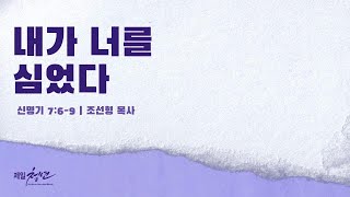 2024년 11월 17일 주일설교 내가 너를 심었다 신명기 769  조선형 목사 [upl. by Rafi677]