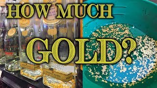 Extracting Gold From Gold Liqueur How Much Goldwasser  Goldschlager  Gold Flake Recovery [upl. by Theola]