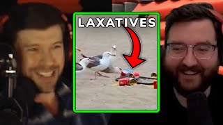 Seagulls on Laxatіves PRANK at the Beach VIDEO  PKA [upl. by Hutson518]