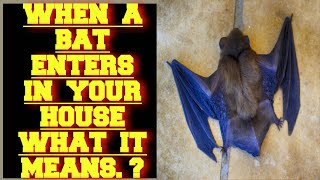 WHEN A BAT ENTERS IN YOUR HOUSE WHAT DOES IT MEAN [upl. by Deryl]