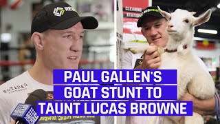 Paul Gallens Goat Stunt To Taunt Lucas Browne  Full Presser [upl. by Silohcin]