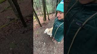 Off Leash Hiking Obedience with my Golden Retriever [upl. by Marjy]