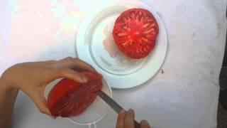 Récupérer des Graines de Tomates  TUTO 02 [upl. by Doowle]