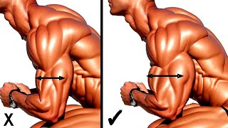 Best Workouts For Bicep and Tricep to Get Wide Insane Arms [upl. by Devan]