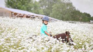 Review of the year 2014  Shetland Pony Club TV Episode 3 [upl. by Maddox]