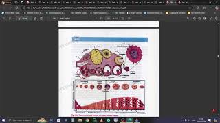 Biology 12 Pituitary Gland [upl. by Nospmas612]