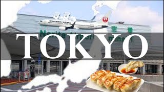 Gatcha Last Minute Shopping and Narita Airport FoodJapan Vlog [upl. by Gromme]