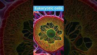 The hidden secrets of the eukaryotic cell  Revealing the mysteries of eukaryotic cells [upl. by Winebaum]