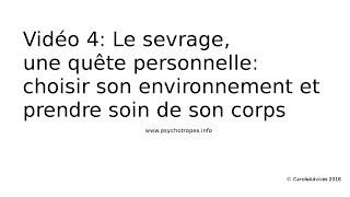 Vidéo 4 Le sevrage une quête personnelle lenvironnement et le corps [upl. by Mireielle]