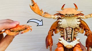 Homemade Armored Crabman Using Crabs 🦀♻️🙏 [upl. by Yekram651]