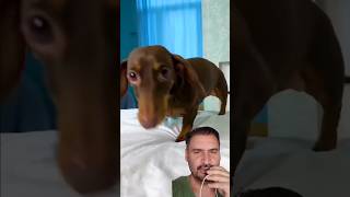 Köpek koldaki şekilleri sildi😂😂keşfet 1million [upl. by Groos836]