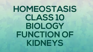 HOMEOSTASIS BIOLOGY CLASS 1O FUNCTION OF KIDNEY [upl. by Winfrid]