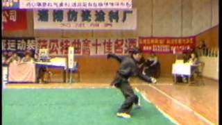 Wang Er Ping Dao Shu Henan Wushu Championships 1989 [upl. by Dulce92]