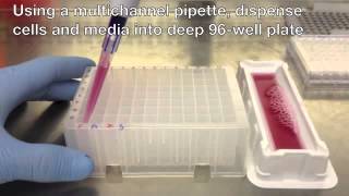 Bio Assay Instructions [upl. by Kerge464]