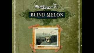 Blind Melon SkinnedAcustic [upl. by Carolina]