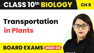 Transportation in Plants  Life Process  Class 10 Biology [upl. by Llenad]