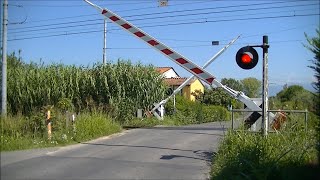 Spoorwegovergang Lucca I  Railroad crossing  Passaggio a livello [upl. by Boycie631]