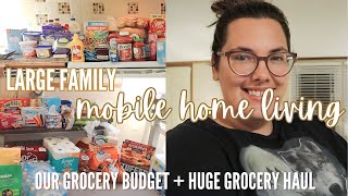 💰 OUR GROCERY BUDGET  HUGE GROCERY HAUL  large family doing mobile home living [upl. by Myriam]