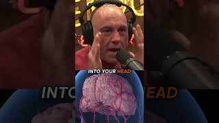 The 1 Time Joe Rogan Blacked Out [upl. by Auehsoj]