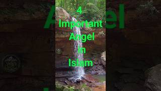 4 Special Angels in Islam  Know Their Roles☪️☪️☪️ytshorts angel Jibreel Mikael Israfil Izrail [upl. by Repmek]