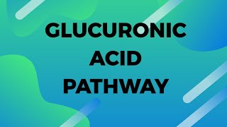 GLUCURONIC ACID pathway made easy [upl. by Bonner639]