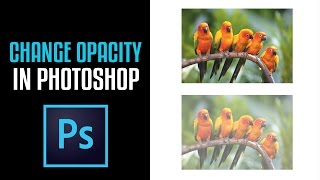 How to change The Opacity of an Image in Photoshop CS6 [upl. by Auqinat651]