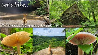 A Thirsty Copperas Creek Falls  Red River Gorge  Devils Canyon Overlook  Kentucky  6324 [upl. by Eidda317]