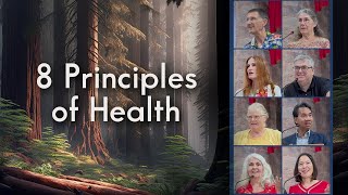 8 Principles of Health  Dennis Porter amp Others [upl. by Airtemak222]