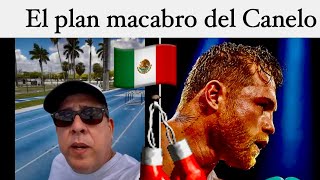 CANELO YA NO PUEDE ENGAÑAR A NADIE canelo boxeo 🥊🇲🇽🔥 [upl. by Yllet]