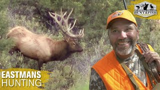 Elk Hunting Colorado  Hunting the Rut with a Rifle [upl. by Leibman]