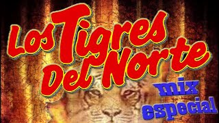 Las Más Románticas de Los Tigres Del Norte 20 EXITOS  Mejores artistas para escuchar 2024 [upl. by Glaudia]