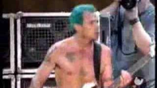 Red Hot Chili Peppers  Easily live  Woodstock 99 [upl. by Brendis773]