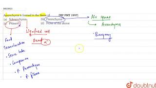 Aerenchyma is formed in the tissue of [upl. by Bak697]