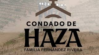 Condado haza [upl. by Sheelagh]