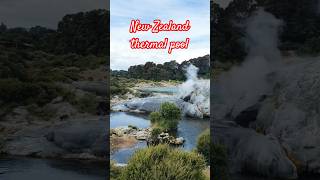 Te Puia Geothermal Geyser Thermal Valley newzealand rotorua trending viralvideo youtubeshorts [upl. by Philis]