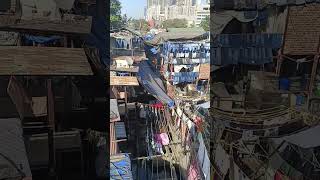 Dhobi Ghat Mumbai Famous tourist place 💌travel trendingshorts 1millionviewsinoneday [upl. by Annyrb]