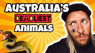 Australias Deadliest Creatures  Top 10 [upl. by Costin160]